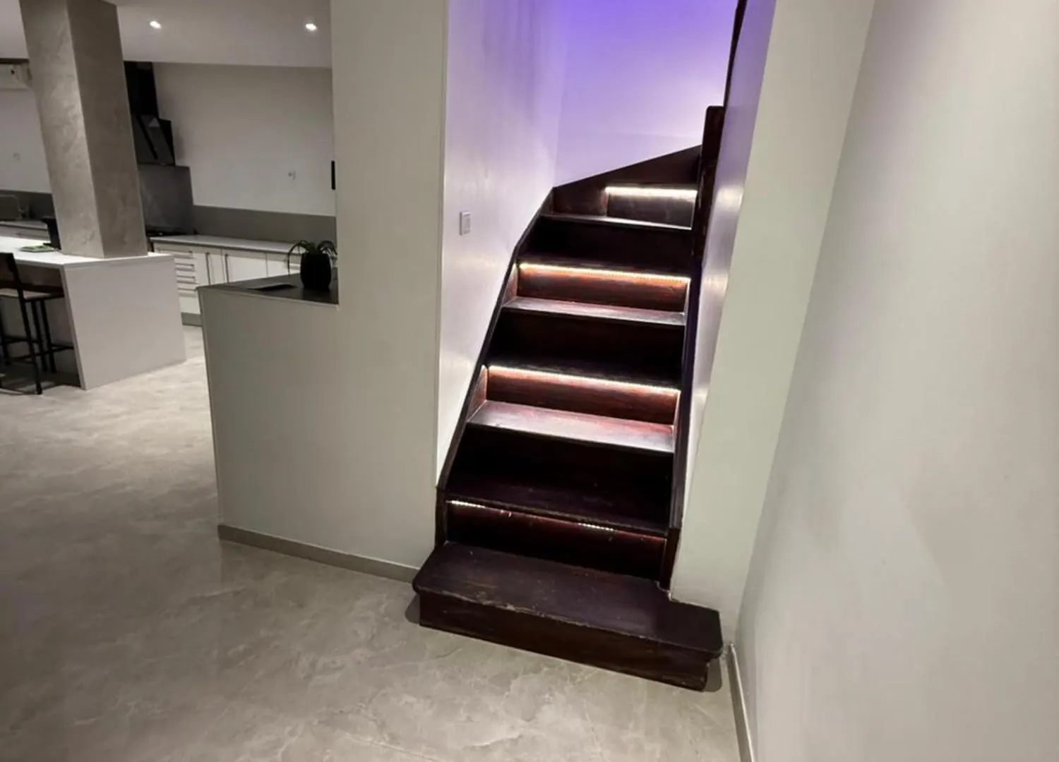 Maison Frappaz Villeurbanne Apartment