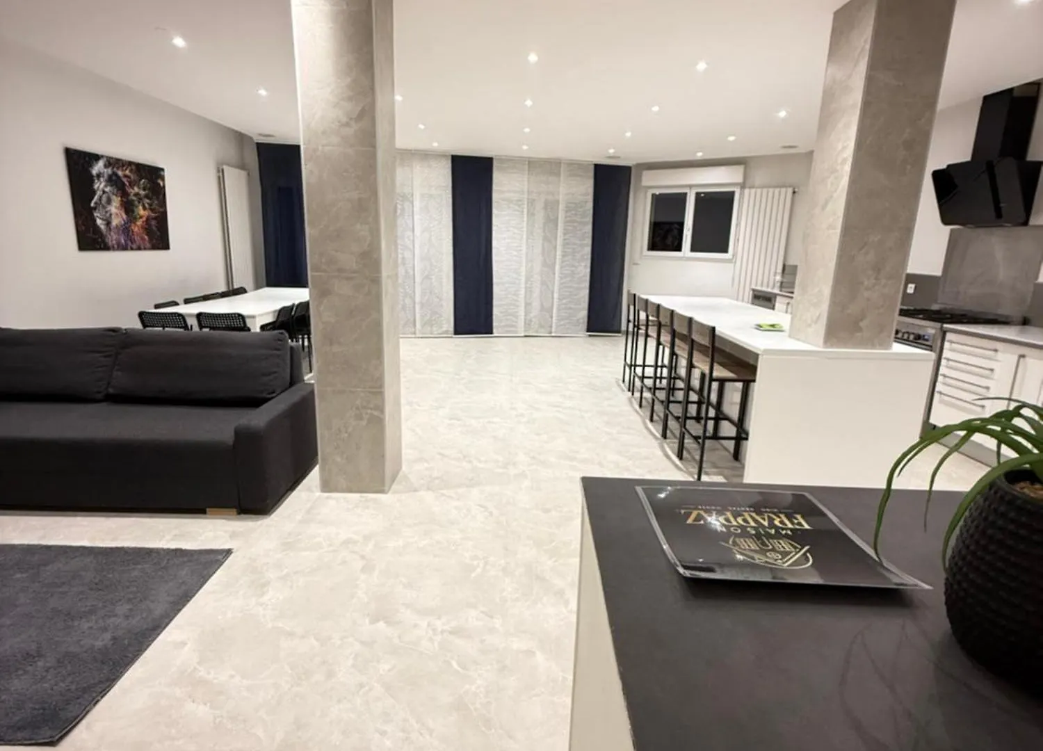 Apartment Maison Frappaz Villeurbanne